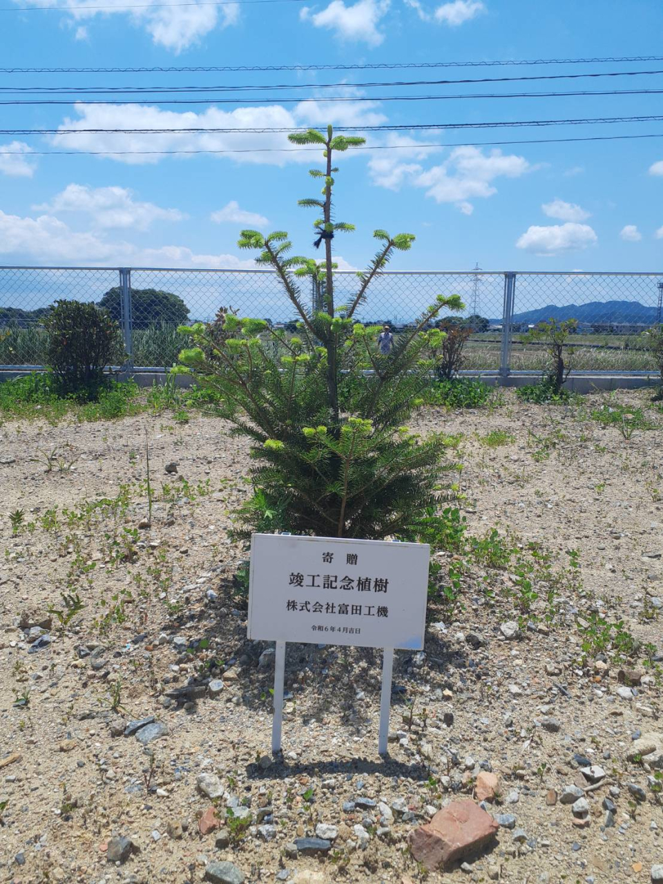 竣工記念植樹の贈呈
